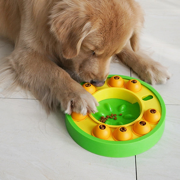 Clever Paws Puzzle Board puzzle detail — close-up photo