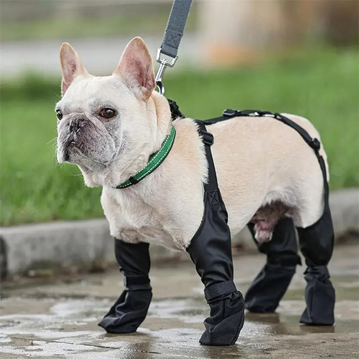 Waterproof Adjustable Dog Boots (Set of 4) – Pawy product photo 8