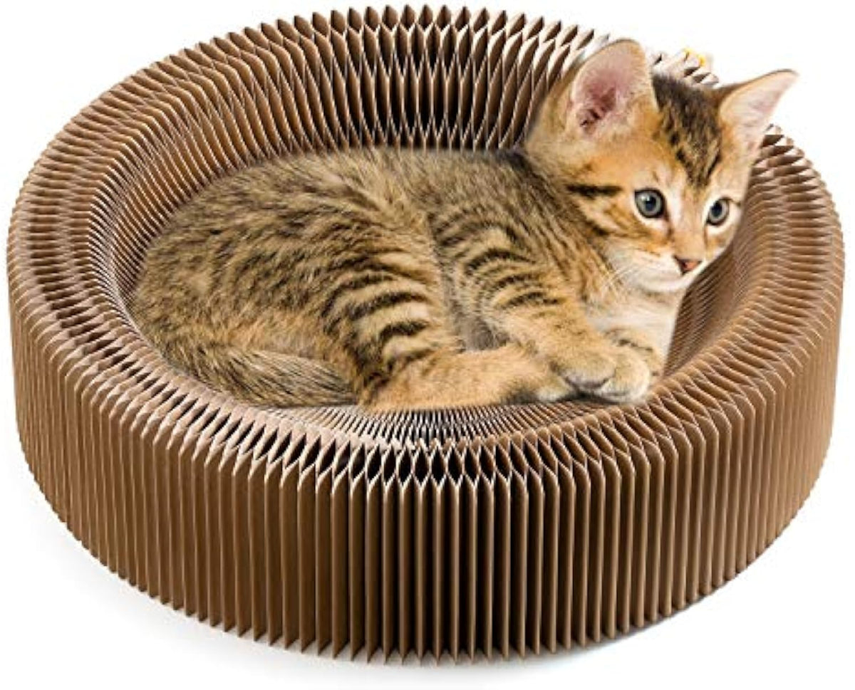 Collapsible Cardboard Scratcher Lounge Bed for Cats – Pawy product photo 7
