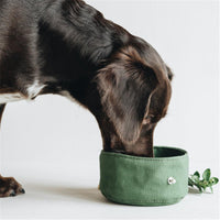 Waterproof Foldable Travel Bowl for Dogs – Pawy product photo 6