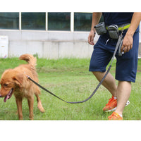 Freedom Walk Hands-Free Dog Leash – Pawy product photo 7