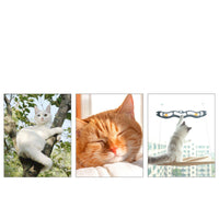 Suction Cup Window Hammock for Cats – Pawy product photo 4