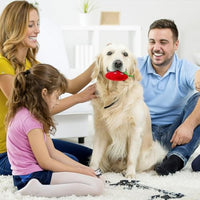 Plush Strawberry Puppy Teething Toy – Pawy product photo 3