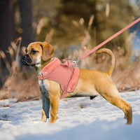 Starter Harness & Leash Set for Puppies – Pawy product photo 5