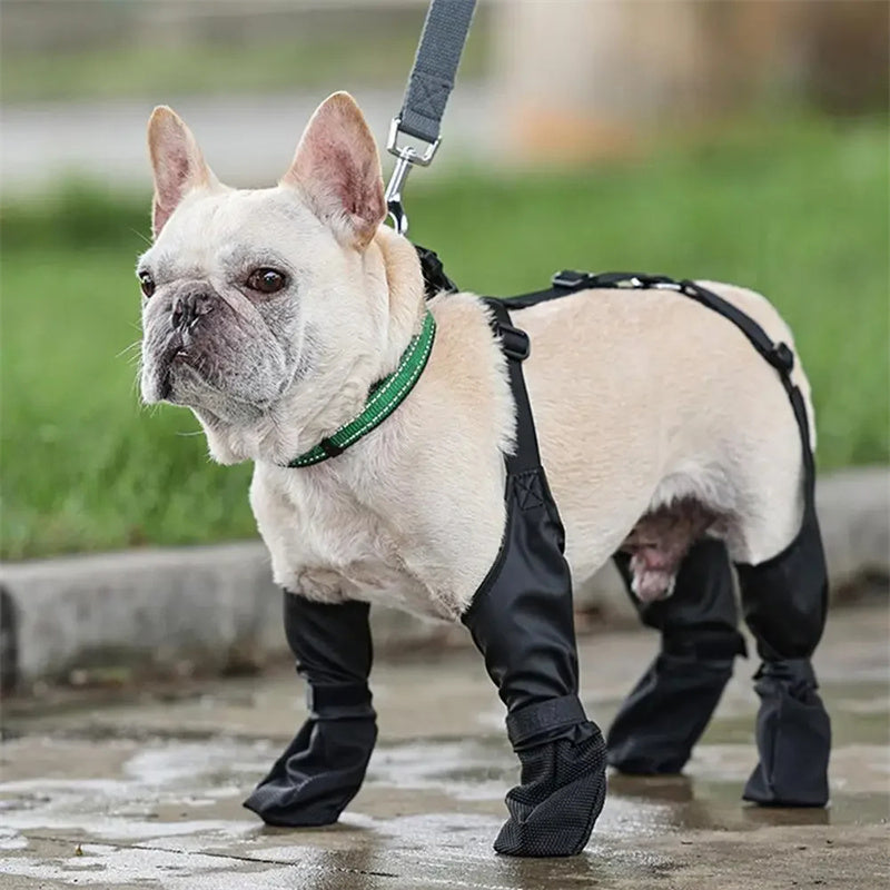 Waterproof Adjustable Dog Boots (Set of 4) – Pawy product photo 8