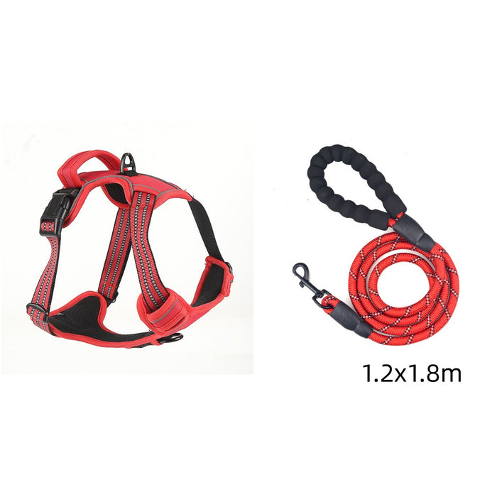 Steady Step No-Pull Reflective Harness for Dogs – Pawy product photo 3