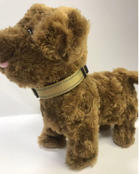 Adjustable Reflective Nylon Webbing Dog Collar – Pawy product photo 5